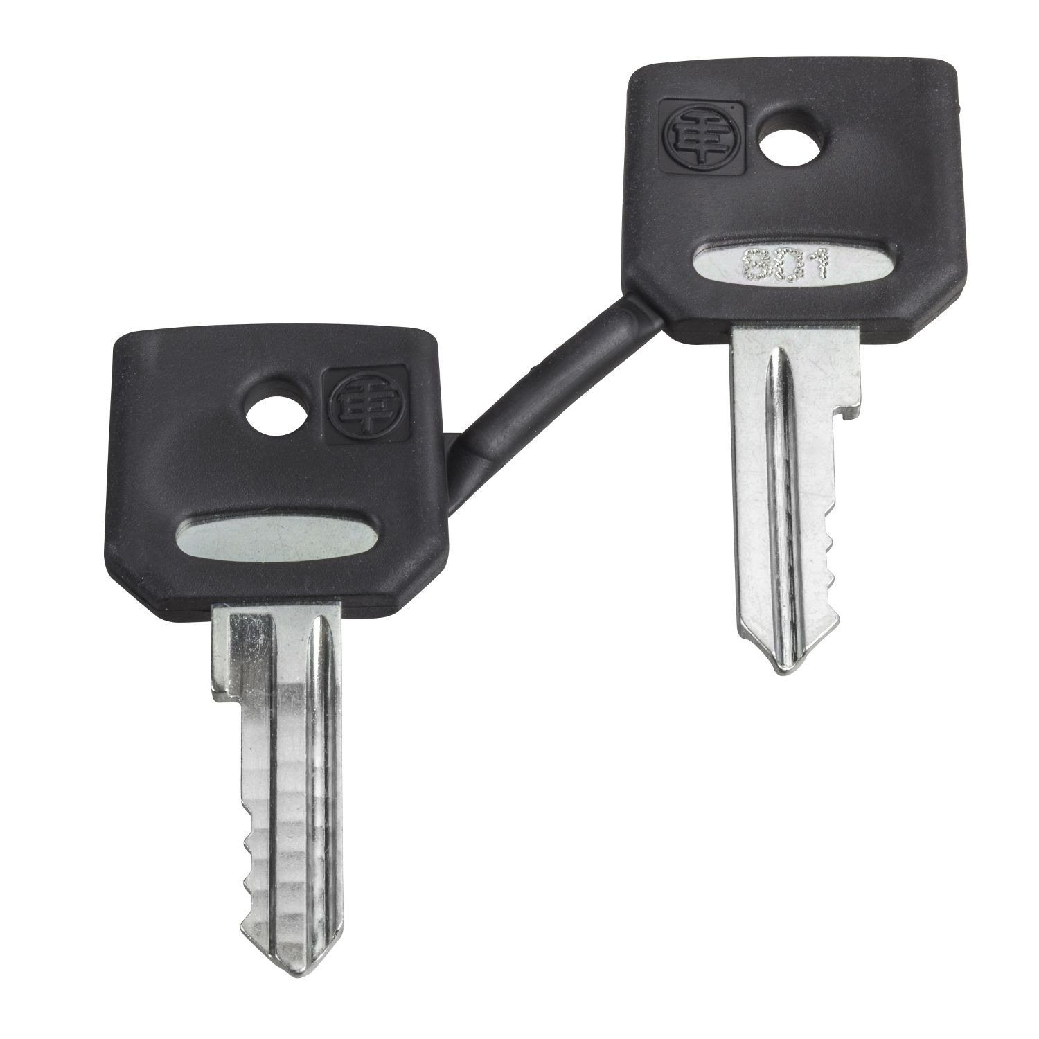 Picture of Key, Harmony XB4, Set of 2 keys, key 455 with one booted