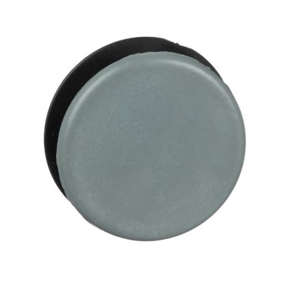 Picture of Blanking plug, Harmony 9001K, Harmony 9001SK, grey, 30mm