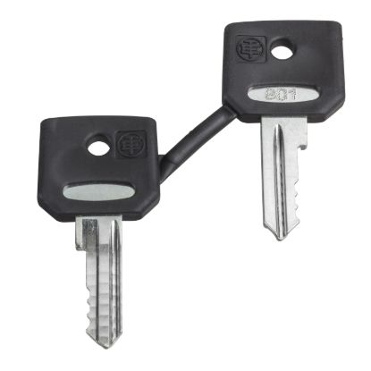 Picture of Key, Harmony XB4, emergency stop push button, key 458A, set of 2 keys