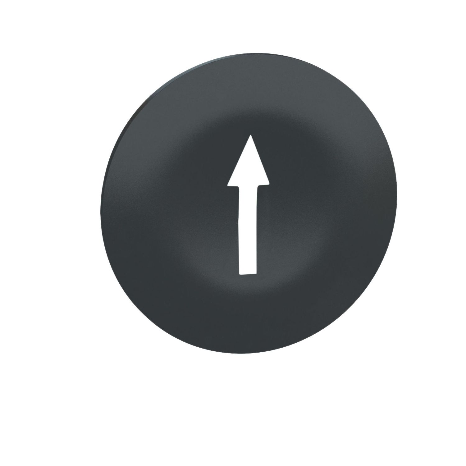 Picture of Cap for multiple-headed push button, Harmony XB4, wireless, plastic, black, 22mm, white marked arrow