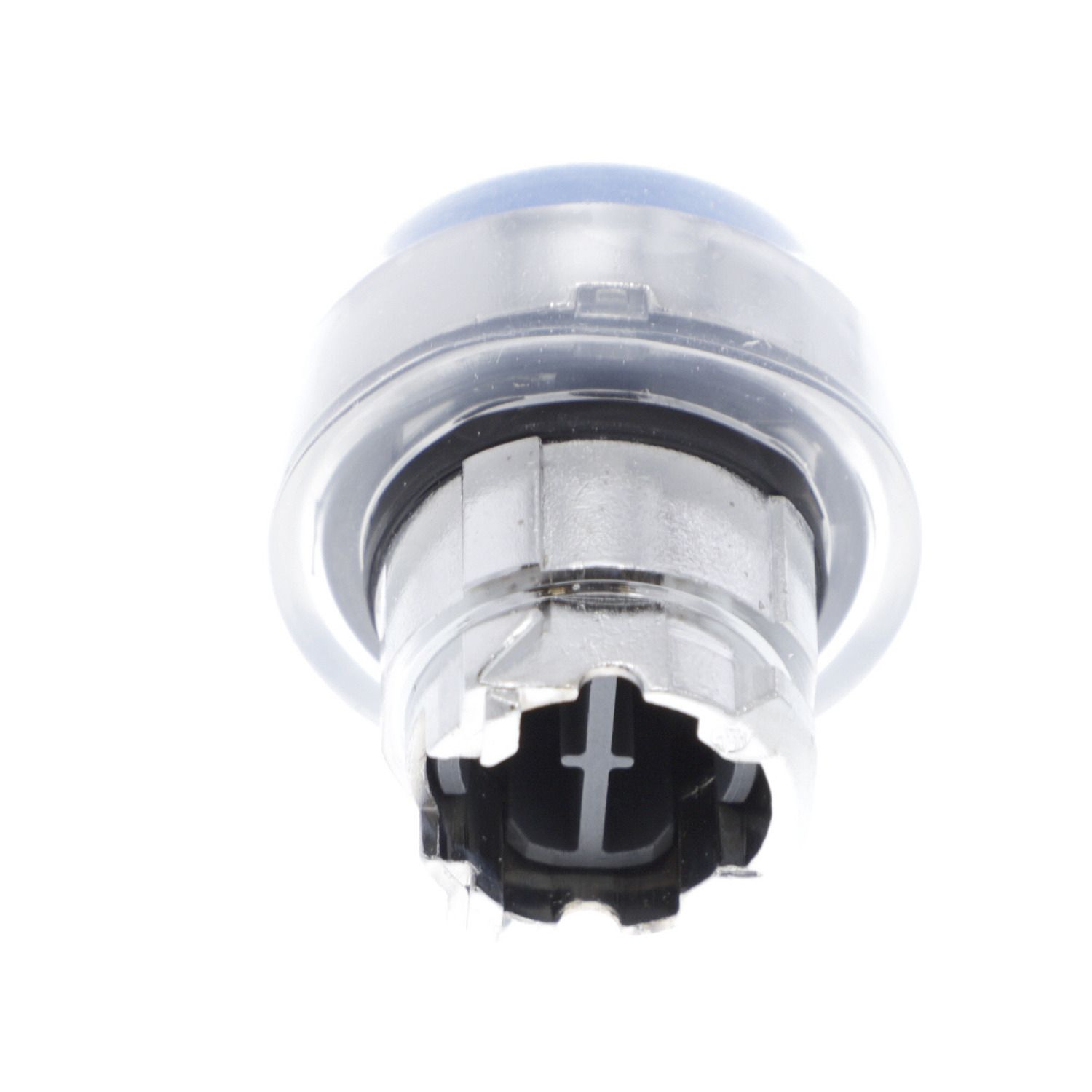 Picture of Head for non illuminated push button, Harmony XB4, metal, projecting, blue, 22mm, spring return, booted, unmarked