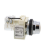 Picture of Push to test pilot light head, Harmony 9001K, metal, without cap, 30mm, 110...120V