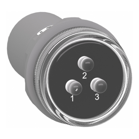 Picture of Monolithic pilot light, Harmony XB5, 3 phases Voltage, indicator with 3 LED, white, 400V AC