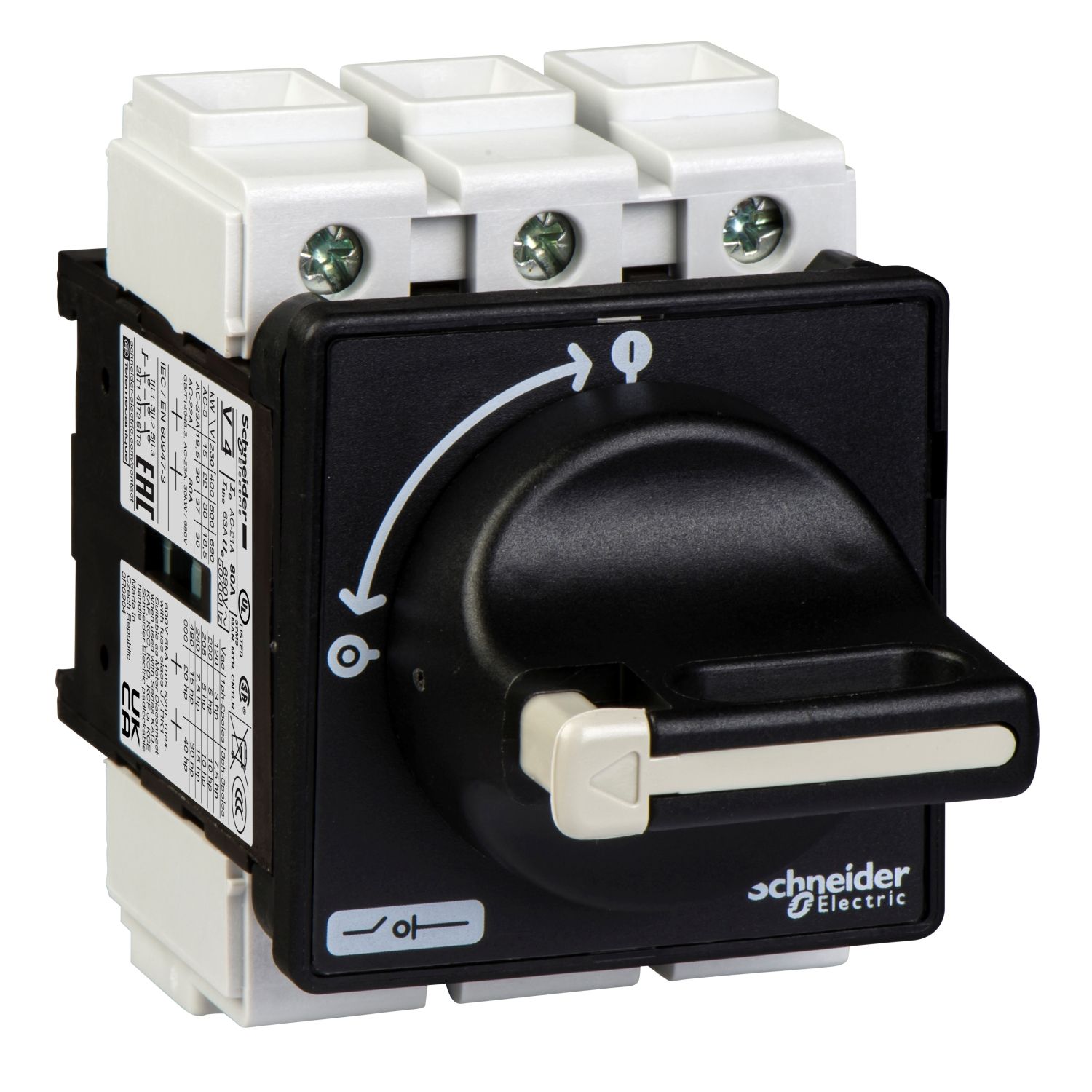 Picture of Switch disconnector, TeSys Mini-Vario, 80A, on door