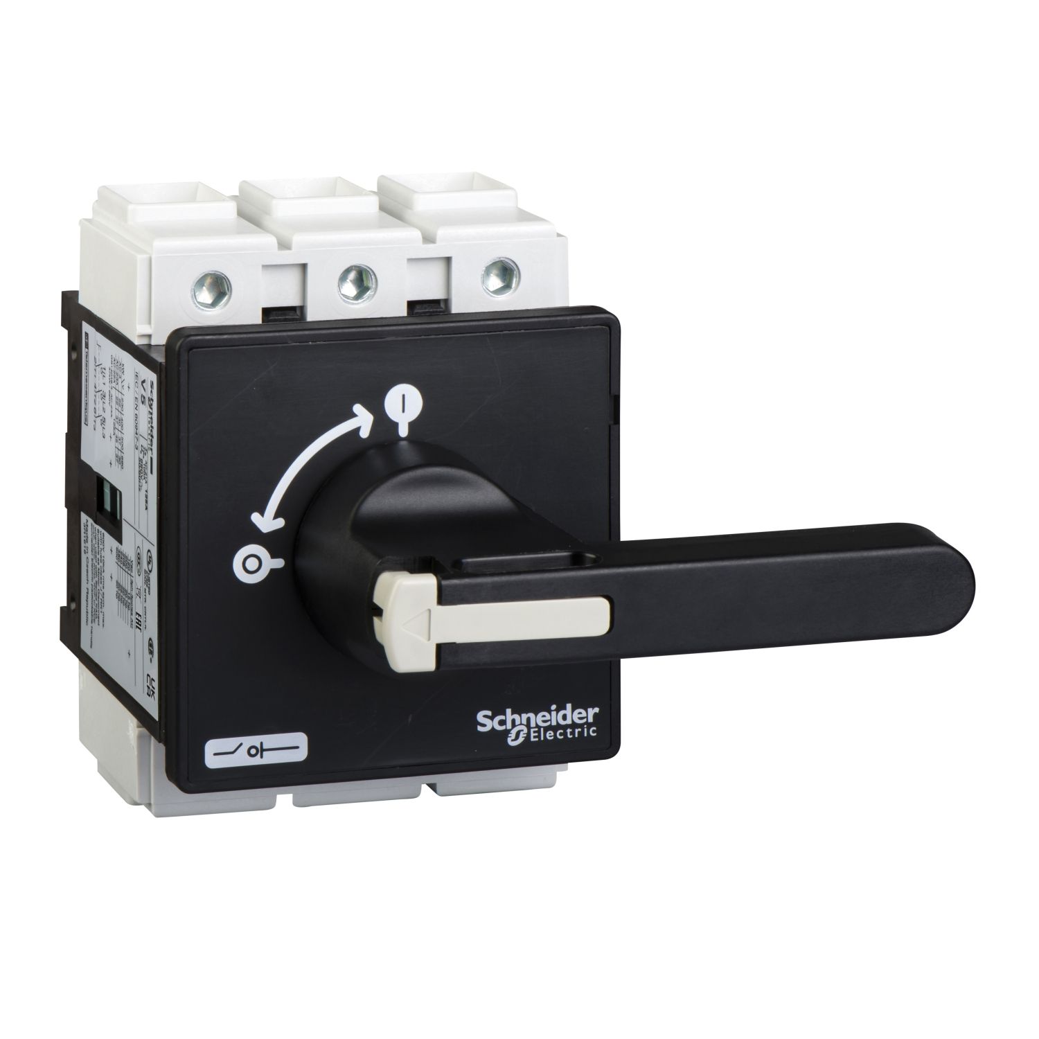 Picture of Switch disconnector, TeSys Mini-Vario, 125A, on door