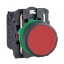 Picture of Push button, Harmony XB5, plastic, flush, red, 22mm, spring return, unmarked, 1NC