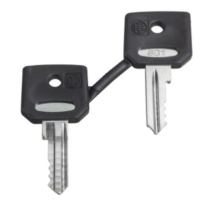Picture of Key, Harmony XB4, emergency stop push button, key 3131A, set of 2 keys