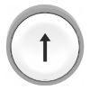 Picture of Harmony XB4, Push button head, metal, flush, white, 22mm, spring return, marked UP ARROW