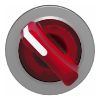 Picture of Head for illuminated selector switch, Harmony XB4, metal, red handle, 30mm, universal LED, 2 positions, spring return