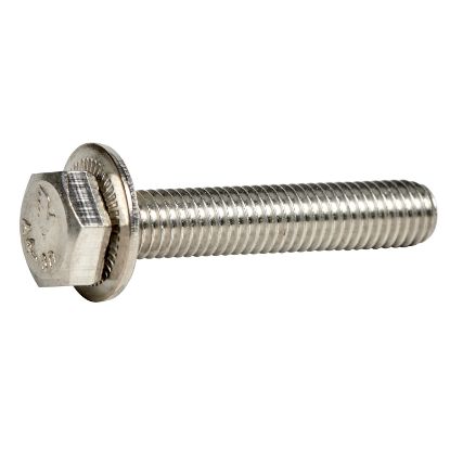 Picture of Prisma iPM M - 50 stainless steel screws