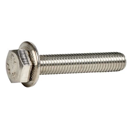 Picture of Prisma iPM M - 50 stainless steel screws