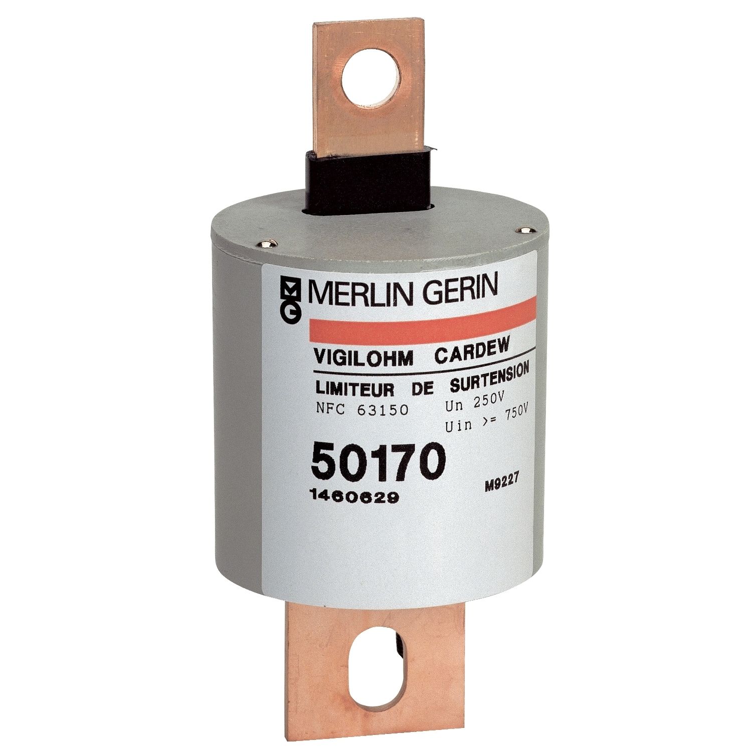 Picture of Del Nov 25: SURGE LIMITER CARDEW 250V AC
