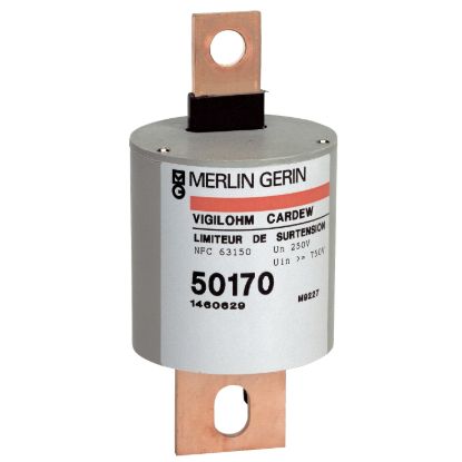 Picture of Del Nov 25: SURGE LIMITER CARDEW 250V AC
