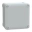 Picture of Thalassa, PC box IP66 IK08 RAL7035 Int.H105W105D55 Ext.H116W116D62 opaque PC cover H10