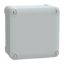 Picture of Thalassa, ABS box IP66 IK07 RAL7035 Int.H105W105D55 Ext.H116W116D62 Opaque cover H10