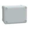 Picture of Thalassa, ABS box IP66 IK07 RAL7035 Int.H150W105D80 Ext.H164W121D87 Opaque cover H20