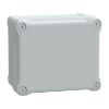 Picture of Thalassa, ABS box IP66 IK07 RAL7035 Int.H175W150D100 Ext.H193W164D105 Opaque cover H40