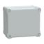 Picture of Thalassa, ABS box IP66 IK07 RAL7035 Int.H175W150D100 Ext.H193W164D105 Opaque cover H40