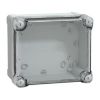 Picture of Thalassa, ABS box IP66 IK07 RAL7035 Int.H175W150D100 Ext.H193W164D105 Transp.cover H40