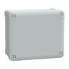 Picture of Thalassa, ABS box IP66 IK07 RAL7035 Int.H175W150D80 Ext.H193W164D87 Opaque cover H20