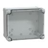 Picture of Thalassa, ABS box IP66 IK07 RAL7035 Int.H225W175D120 Ext.H241W194D127 Transp.cover H40