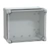 Picture of Thalassa, ABS box IP66 IK07 RAL7035 Int.H275W225D160 Ext.H291W241D168 Transp.cover H60