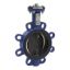 Picture of VF208W Butterfly Valve, 2-Way, DN125, Wafer Flanged, Zinc Plated Disc, EPDM Liner, Kvs 1025 mÂ³/h, Max âˆ†P 600 kPa.