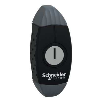 Picture of Key handle with key 1242E, Spacial S3D, for Spacial S3D enclosure