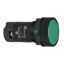Picture of green flush pushbutton Ø22 - spring return - 2NO- screw clamp terminals-unmarked