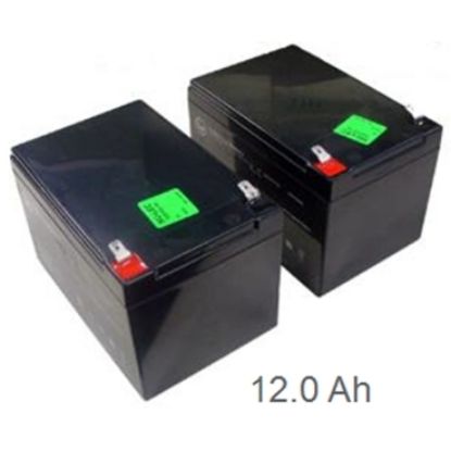 Picture of ADVC2/3 BATTERY 2X 12V 12AH LRG CSB