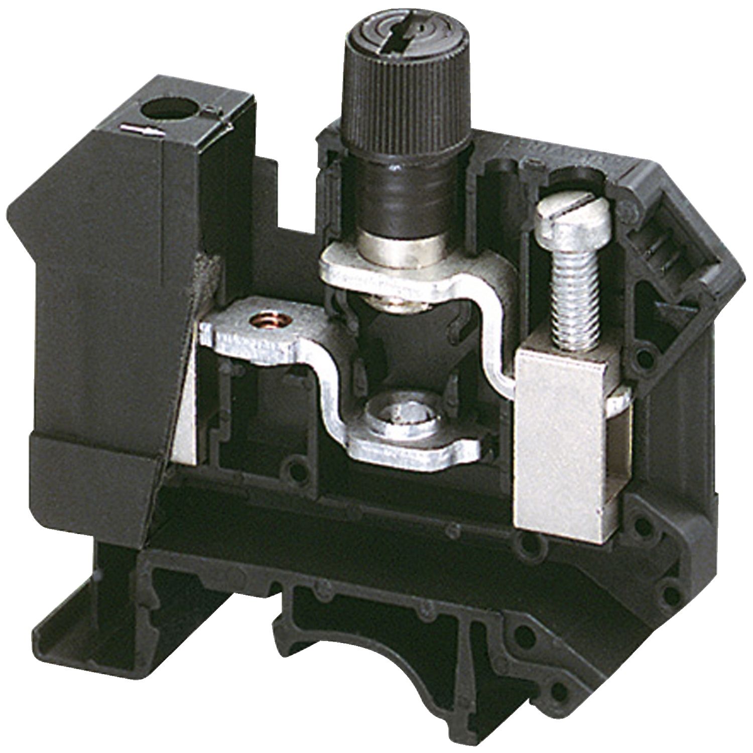 Picture of Screw Terminal, Linergy, Fused, Screw Cap, for 5X20mm Cartridge Fuse, 2PTS, 10