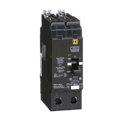 Picture of Mini circuit breaker, E-Frame, 100A, 2 pole, 480Y/277 VAC, 25 kA max, bolt on