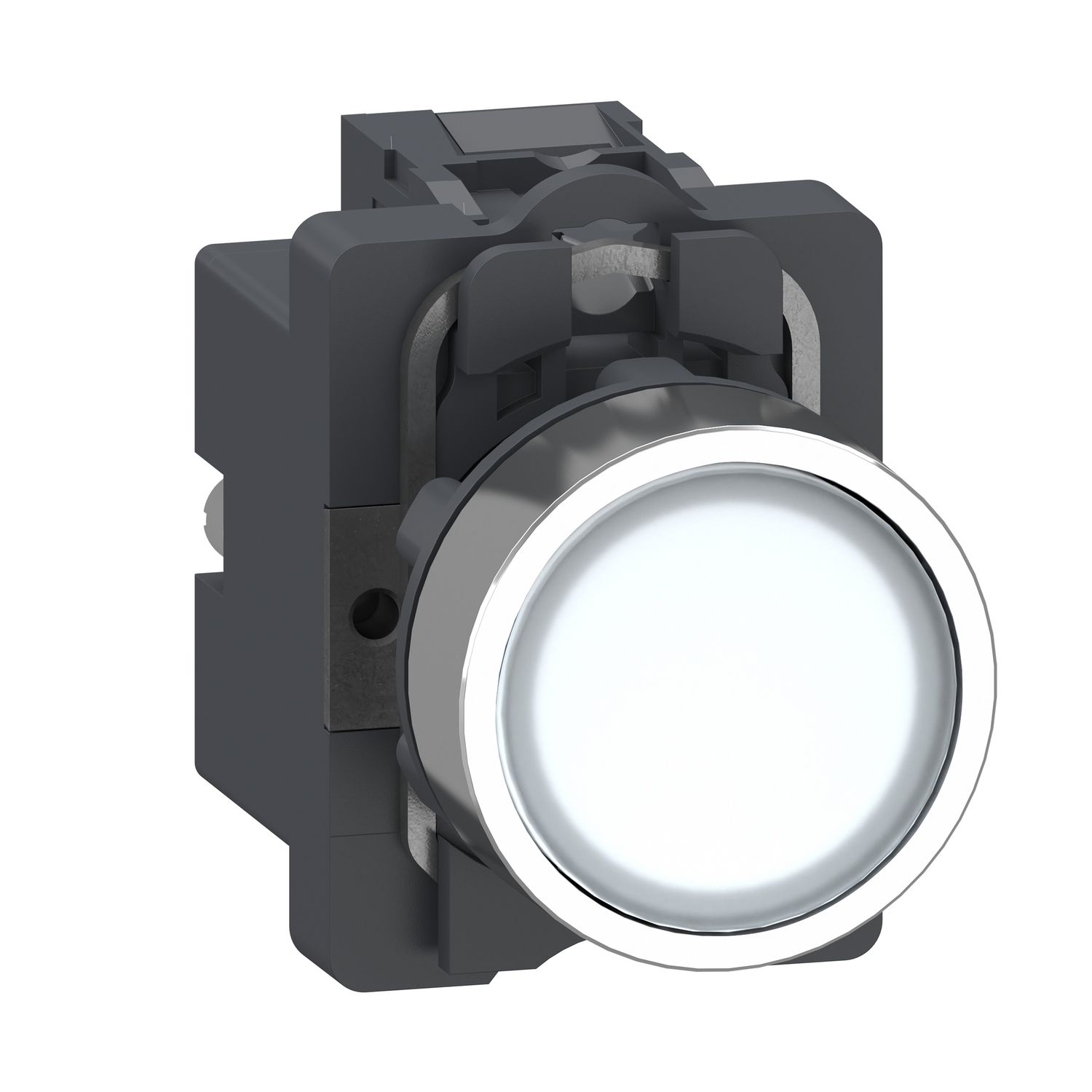 Picture of Complete illuminated push button, Easy Harmony XA2, plastic head, 22mm, white, 1NO, AC 220V, spring return