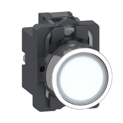 Picture of Complete illuminated push button, Easy Harmony XA2, plastic head, 22mm, white, 1NO, AC 220V, spring return