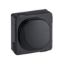Picture of Blank Plug, Clipsal - General Accessories, Removable