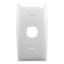 Picture of Flush Plate, Standard Series, 1 Gang, Intermediate