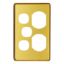 Picture of Socket Outlet Cover Plate, Classic C2000 Series, Vertical Mount, for C2025VX Single Switched Socket