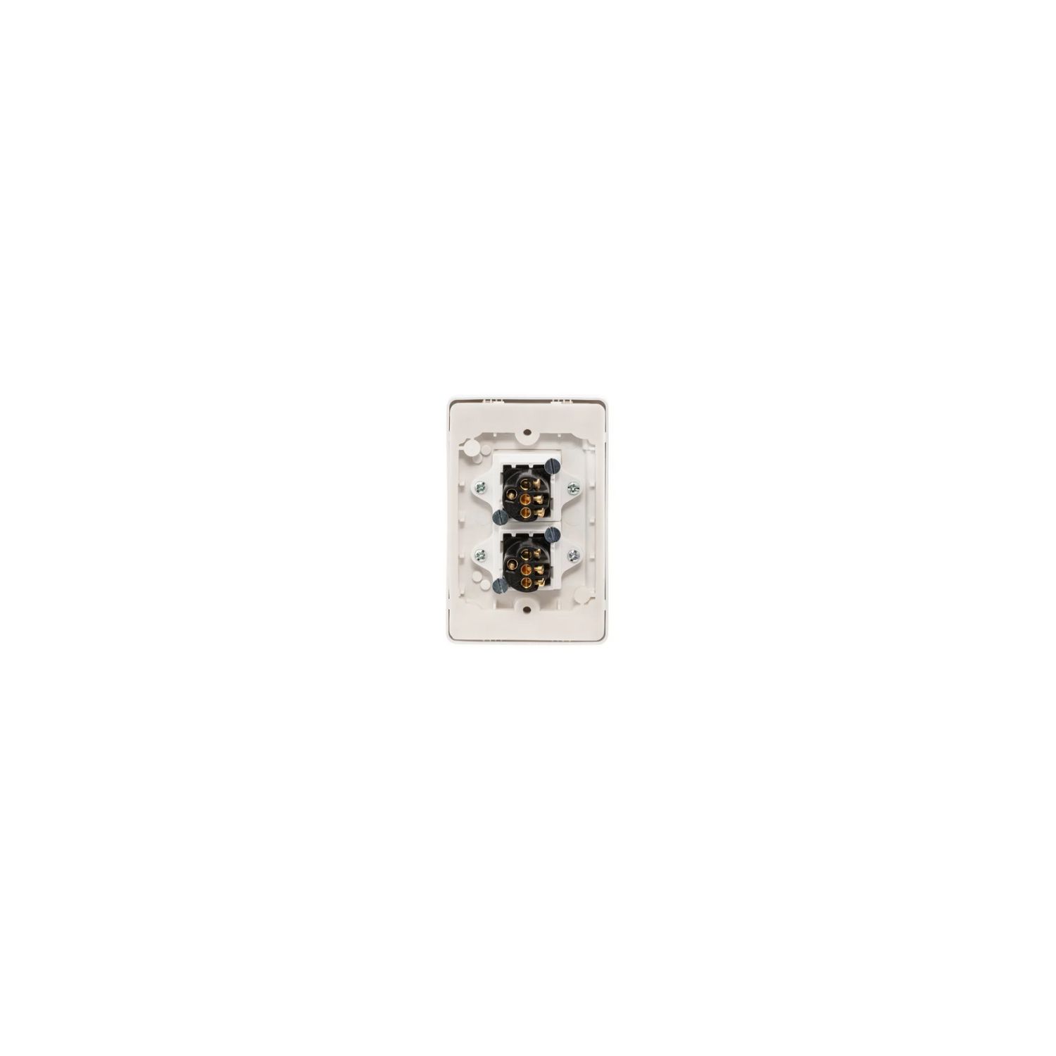Picture of Flush Switch, Classic C2000 Series, 2 Gang, 250VAC, 10A, Vertical, IP66