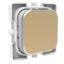 Picture of Styl PushButton Assembly, Clipsal Iconic, Blank