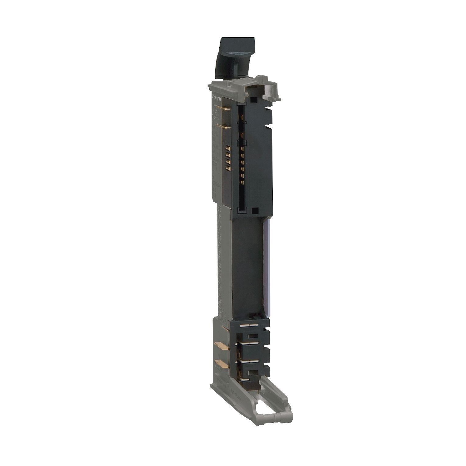 Picture of Modicon TM5, bus base with address setting, 24 V DC, grey, quantity 1